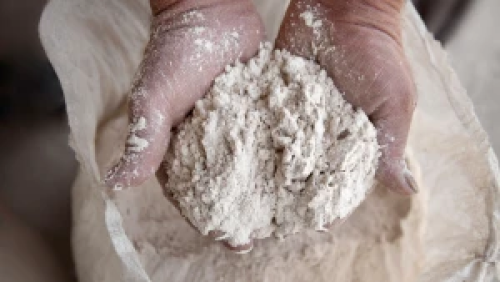 Refined flour